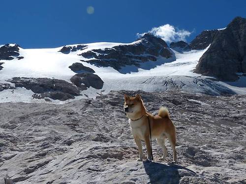 夜光城市跑，灯火点点中的运动狂欢，夜间灯光城市