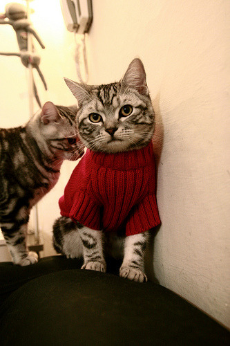 篮球青训营注重心理素质培养，篮球青训队训练计划