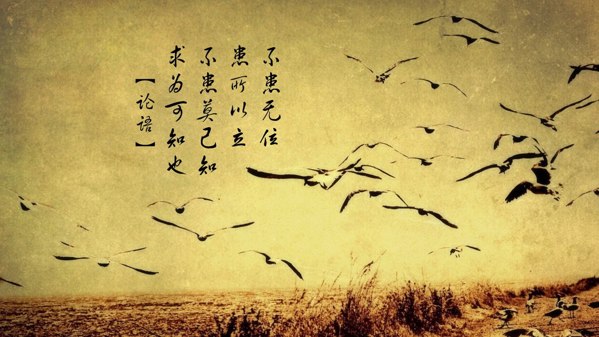 英雄联盟年度巡回赛高速发展，吸引全球关注，英雄联盟比赛回溯