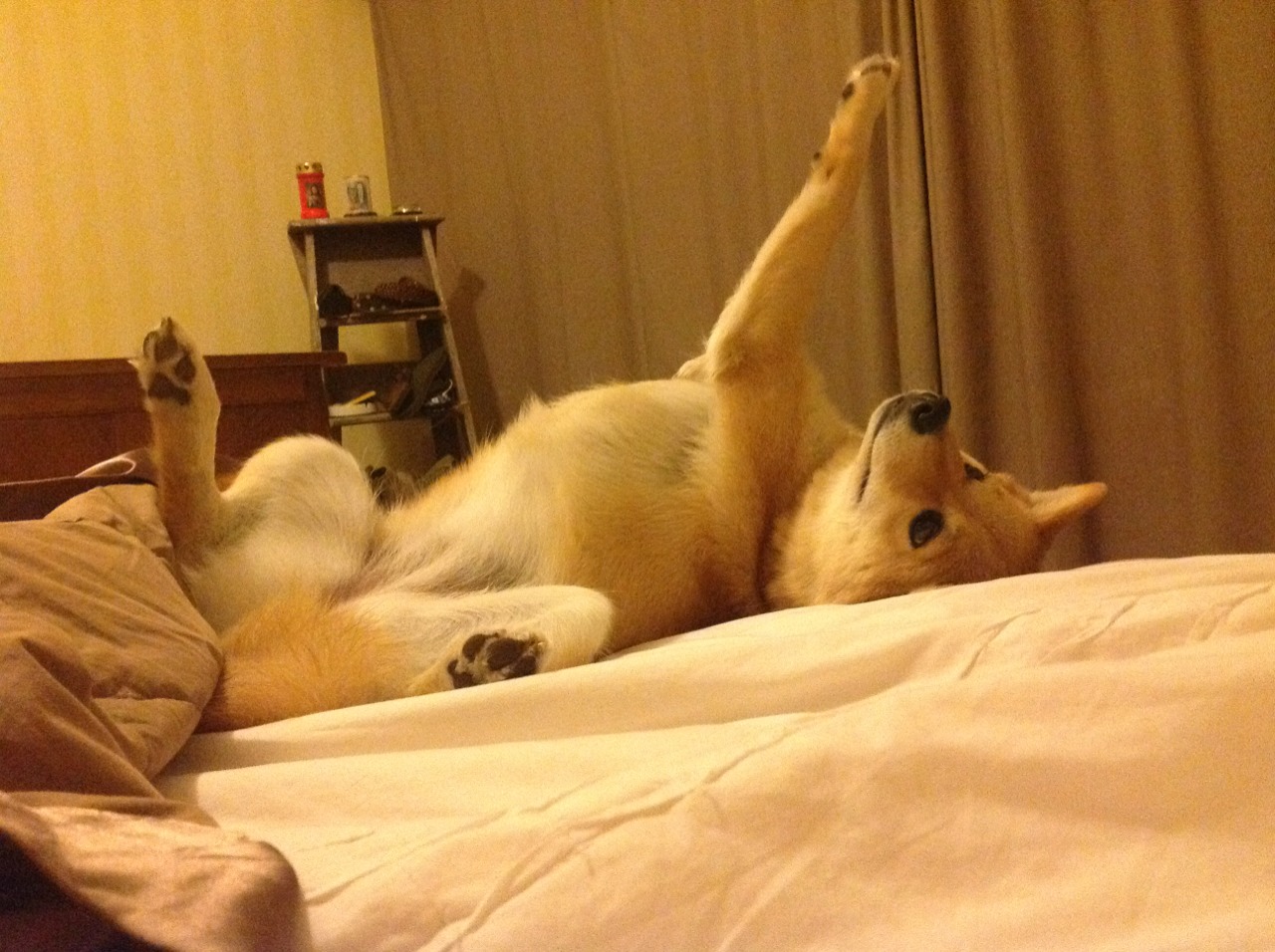 青少年篮球“梦想启航”系列活动全面铺开，激发青少年热情，青少年篮球培训教学视频