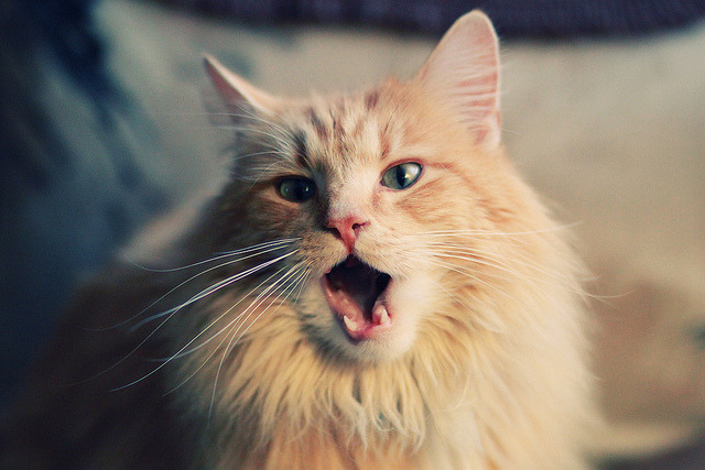 “挥拍如风,壁球挑战极限!高新区全民健身馆迎来速度与耐力之战”