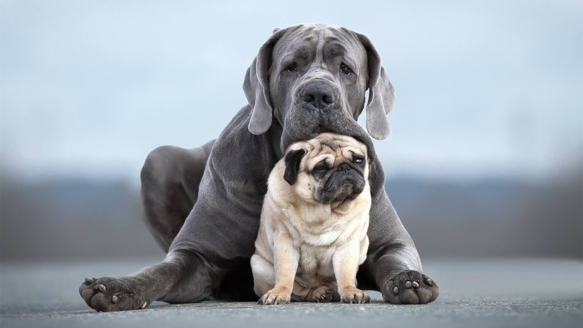 中国篮球推广篮球文化普及丰富群众生活,推广篮球运动
