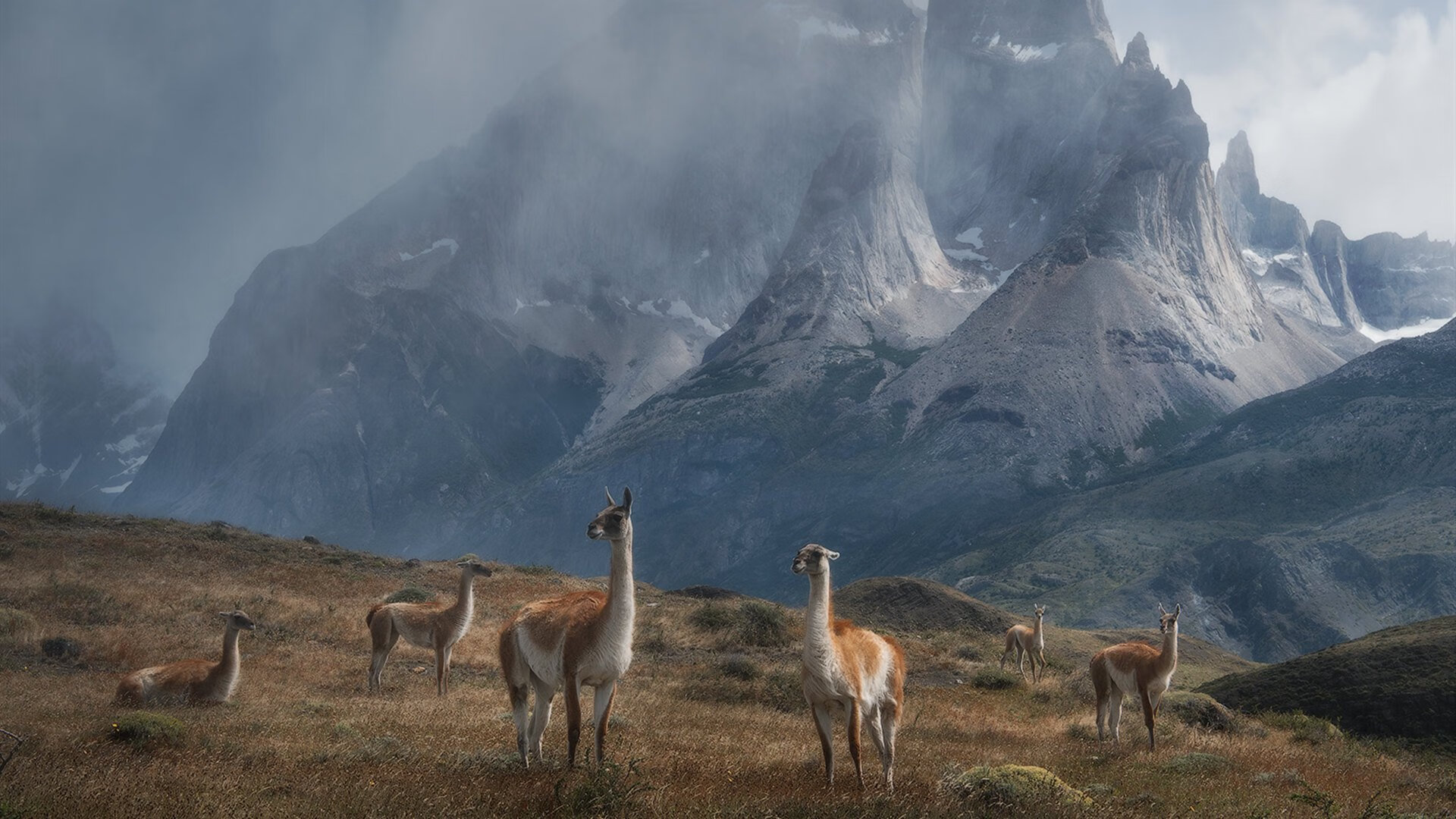 德甲客场战术大公开，德甲打法