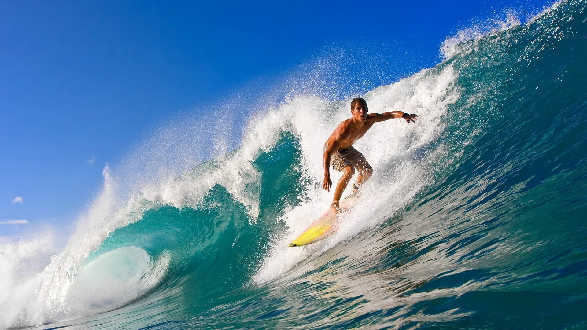 WRC安全措施：保障车手安全的幕后故事，wtcr安全车